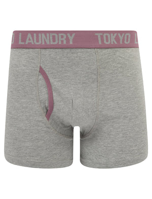 Rosman (2 Pack) Boxer Shorts Set in Chinois Green / Grapeade - Tokyo Laundry