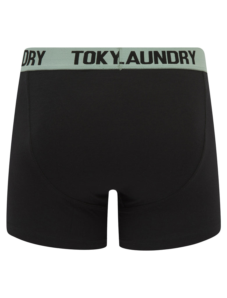 Abbots 2 (2 Pack) Boxer Shorts Set in Chinois Green / Grapeade - Tokyo ...