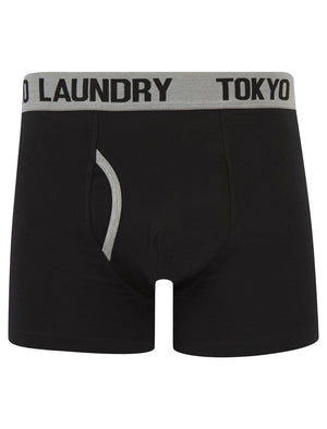 Rosman (2 Pack) Boxer Shorts Set in Light Grey Marl / Ombre Blue - Tokyo Laundry