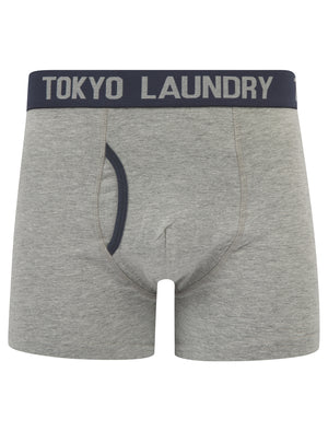 Abbots 2 (2 Pack) Boxer Shorts Set in Light Grey Marl / Ombre Blue - Tokyo Laundry