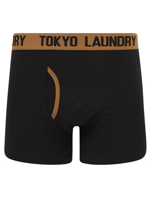 Rosman (2 Pack) Boxer Shorts Set in Thrush Brown / Forget Me Not Blue - Tokyo Laundry