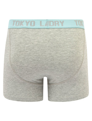 Abbots 2 (2 Pack) Boxer Shorts Set in Thrush Brown / Forget Me Not Blue - Tokyo Laundry
