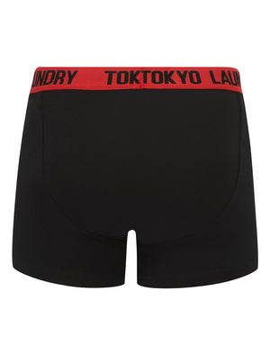 Marthem 3 (2 Pack) Boxer Shorts Set in Poppy Red / Opaline Green - Tokyo Laundry