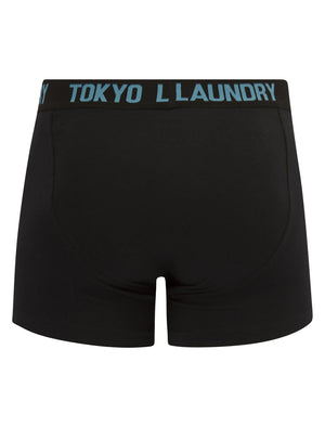 Clovelly (5 Pack) Boxer Shorts Set in Jet Black Tokyo Laundry XXL Clovelly (5 Pack) Boxer Shorts Set in Jet Black Tokyo Laundry XXL
