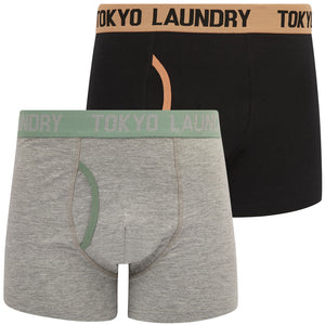 Abbots 3 (2 Pack) Boxer Shorts Set in Cork / Chinois Green - Tokyo Laundry