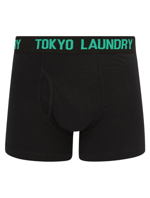 Weymouth (2 Pack) Boxer Shorts Set in Moonlite Mauve / Atlantis - Tokyo Laundry