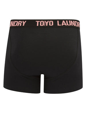 Weymouth (2 Pack) Boxer Shorts Set in Moonlite Mauve / Atlantis - Tokyo Laundry