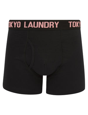 Weymouth (2 Pack) Boxer Shorts Set in Moonlite Mauve / Atlantis - Tokyo Laundry