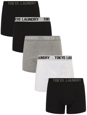 Jax (5 Pack) Cotton Boxer Shorts Set in Black / Grey / White - Tokyo Laundry