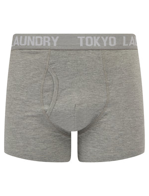 Jax (5 Pack) Cotton Boxer Shorts Set in Black / Grey / White - Tokyo Laundry