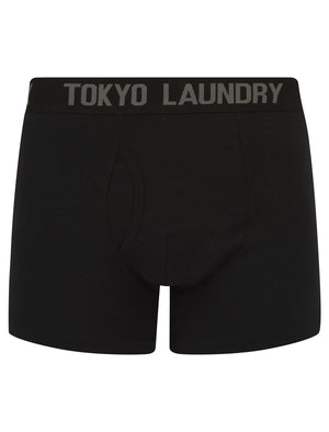 Jax (5 Pack) Cotton Boxer Shorts Set in Black / Grey / White - Tokyo Laundry