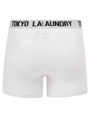 Jax (5 Pack) Cotton Boxer Shorts Set in Black / Grey / White - Tokyo Laundry