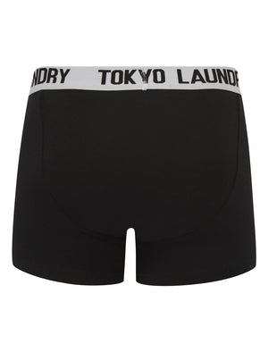 Jax (5 Pack) Cotton Boxer Shorts Set in Black / Grey / White - Tokyo Laundry