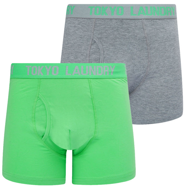 Dans (2 Pack) Boxer Shorts Set in Light Grey Marl / Absinthe Green - Tokyo Laundry