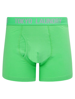 Whiston (2 Pack) Boxer Shorts Set in Light Grey Marl / Absinthe Green - Tokyo Laundry