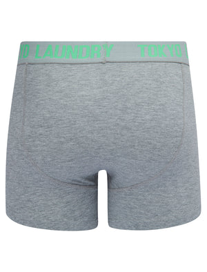 Whiston (2 Pack) Boxer Shorts Set in Light Grey Marl / Absinthe Green - Tokyo Laundry