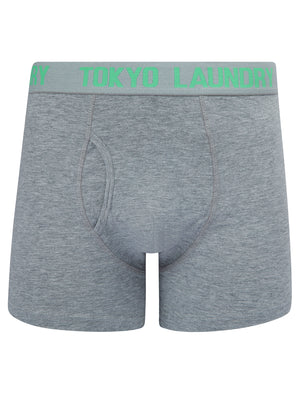 Whiston (2 Pack) Boxer Shorts Set in Light Grey Marl / Absinthe Green - Tokyo Laundry