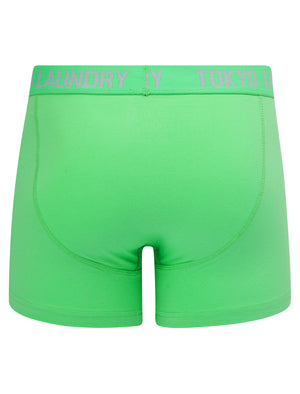 Whiston (2 Pack) Boxer Shorts Set in Light Grey Marl / Absinthe Green - Tokyo Laundry