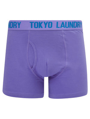 Whiston (2 Pack) Boxer Shorts Set in Dahlia Purple / Nebulas Blue - Tokyo Laundry