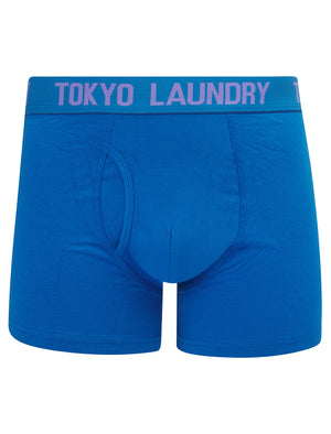 Whiston (2 Pack) Boxer Shorts Set in Dahlia Purple / Nebulas Blue - Tokyo Laundry