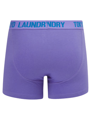 Whiston (2 Pack) Boxer Shorts Set in Dahlia Purple / Nebulas Blue - Tokyo Laundry