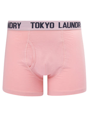 Whiston (2 Pack) Boxer Shorts Set in Pink Nectar / Sky Captain Navy - Tokyo Laundry