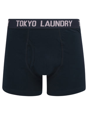 Whiston (2 Pack) Boxer Shorts Set in Pink Nectar / Sky Captain Navy - Tokyo Laundry