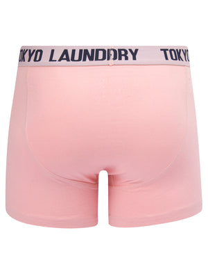 Whiston (2 Pack) Boxer Shorts Set in Pink Nectar / Sky Captain Navy - Tokyo Laundry