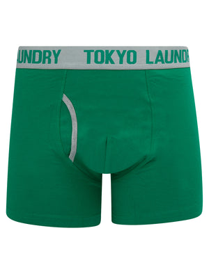 Westhorpe (2 Pack) Boxer Shorts Set in Light Grey Marl / Bosphorus Green - Tokyo Laundry