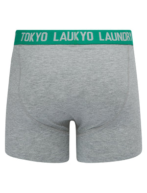 Westhorpe (2 Pack) Boxer Shorts Set in Light Grey Marl / Bosphorus Green - Tokyo Laundry