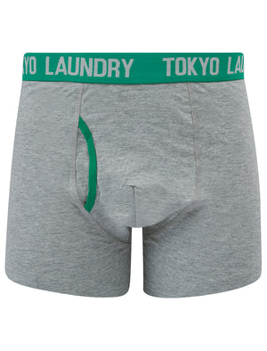 Westhorpe (2 Pack) Boxer Shorts Set in Light Grey Marl / Bosphorus Green - Tokyo Laundry