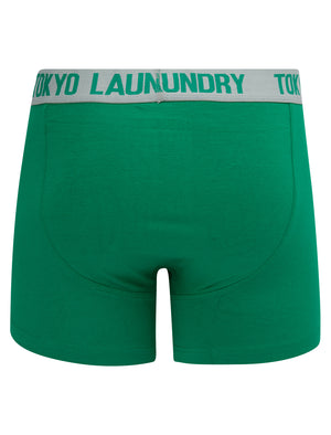 Westhorpe (2 Pack) Boxer Shorts Set in Light Grey Marl / Bosphorus Green - Tokyo Laundry