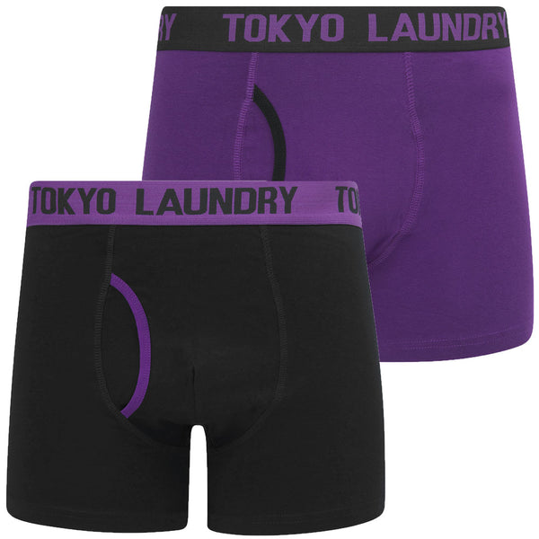 Kyro (2 Pack) Boxer Shorts Set in Sky Captain Navy / Plum Jam - Tokyo Laundry