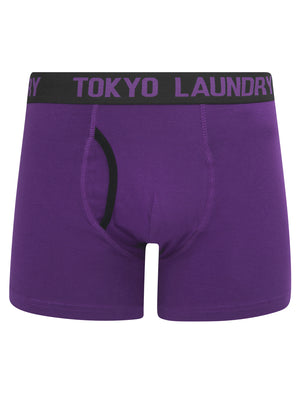 Westhorpe (2 Pack) Boxer Shorts Set in Sky Captain Navy / Plum Jam - Tokyo Laundry