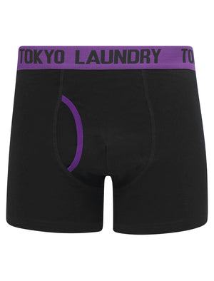 Westhorpe (2 Pack) Boxer Shorts Set in Sky Captain Navy / Plum Jam - Tokyo Laundry