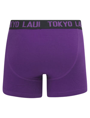 Westhorpe (2 Pack) Boxer Shorts Set in Sky Captain Navy / Plum Jam - Tokyo Laundry