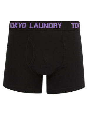 Weymouth (2 Pack) Boxer Shorts Set in Dahlia Purple / Light Grey Marl - Tokyo Laundry