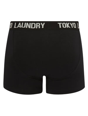 Weymouth (2 Pack) Boxer Shorts Set in Dahlia Purple / Light Grey Marl - Tokyo Laundry