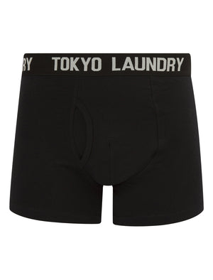 Weymouth (2 Pack) Boxer Shorts Set in Dahlia Purple / Light Grey Marl - Tokyo Laundry