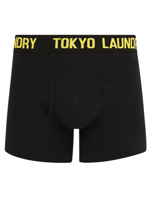 Weymouth (2 Pack) Boxer Shorts Set in Hot Coral / Sunshine - Tokyo Laundry