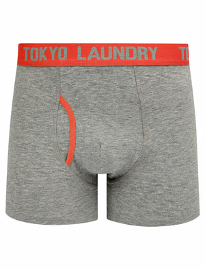 Whitehead (2 Pack) Boxer Shorts Set in Cayenne / Light Grey Marl - Tokyo Laundry