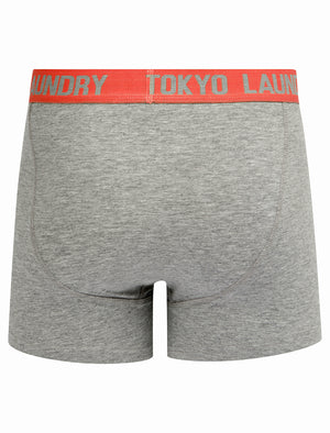 Whitehead (2 Pack) Boxer Shorts Set in Cayenne / Light Grey Marl - Tokyo Laundry