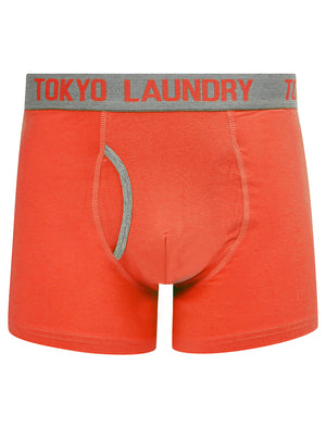 Whitehead (2 Pack) Boxer Shorts Set in Cayenne / Light Grey Marl - Tokyo Laundry