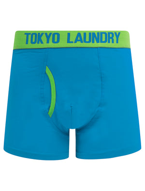 Whitehead (2 Pack) Boxer Shorts Set in Diva Blue / Titanite - Tokyo Laundry