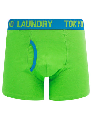 Whitehead (2 Pack) Boxer Shorts Set in Diva Blue / Titanite - Tokyo Laundry