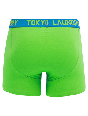 Whitehead (2 Pack) Boxer Shorts Set in Diva Blue / Titanite - Tokyo Laundry