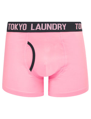 Whitehead (2 Pack) Boxer Shorts Set in Moonlite Mauve / Sky Captain Navy - Tokyo Laundry