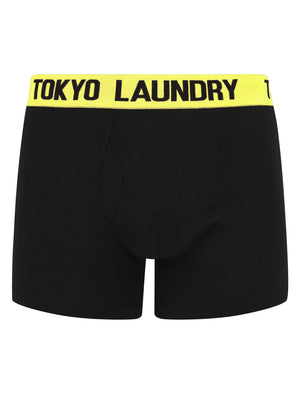 Winders (2 Pack) Boxer Shorts Set in Blazing Yellow / Light Grey Marl - Tokyo Laundry