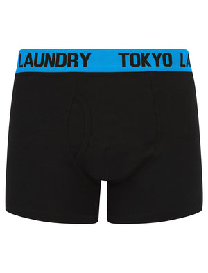 Winders (2 Pack) Boxer Shorts Set in Dahlia Purple / Diva Blue - Tokyo Laundry