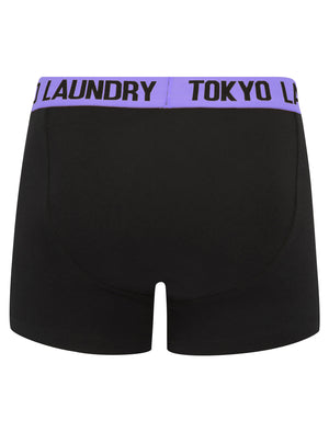 Winders (2 Pack) Boxer Shorts Set in Dahlia Purple / Diva Blue - Tokyo Laundry